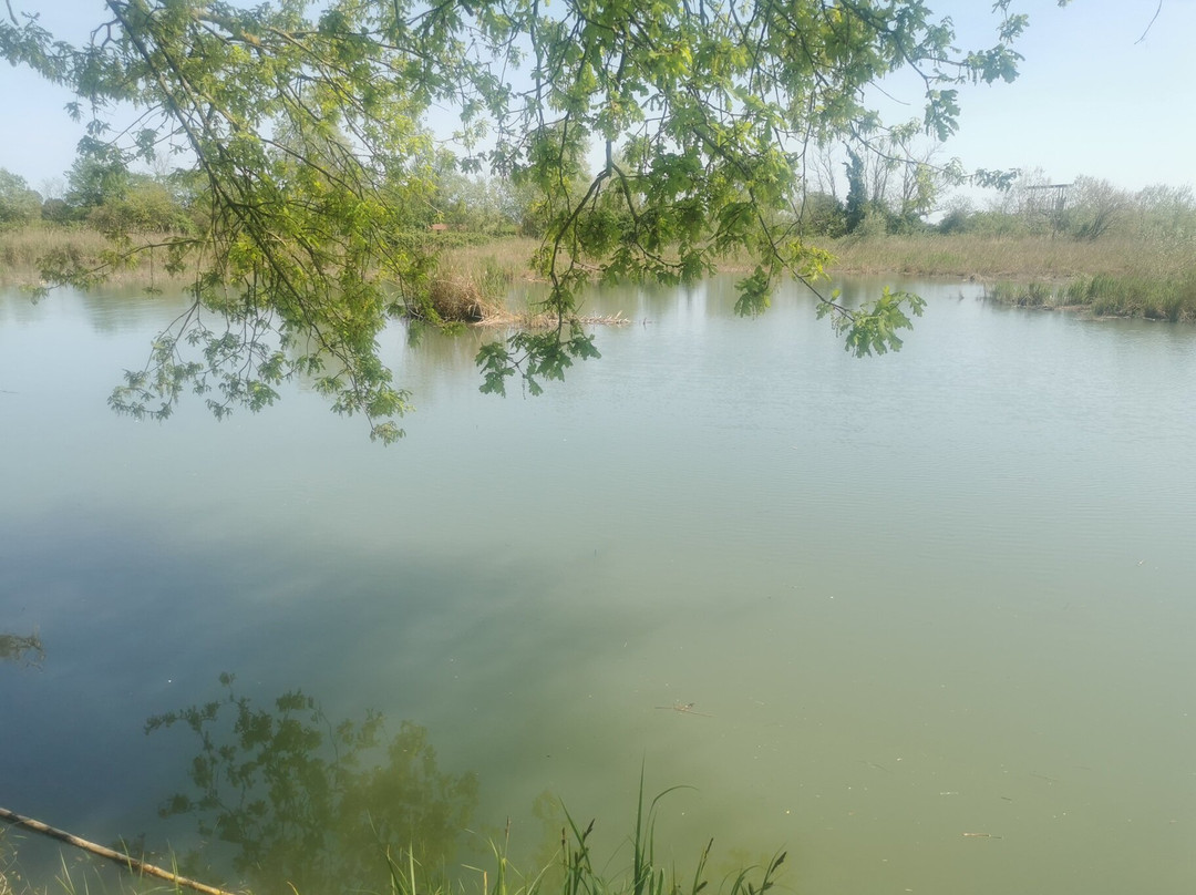 Oasi Naturale di Torre Abate-Mesola必去景点