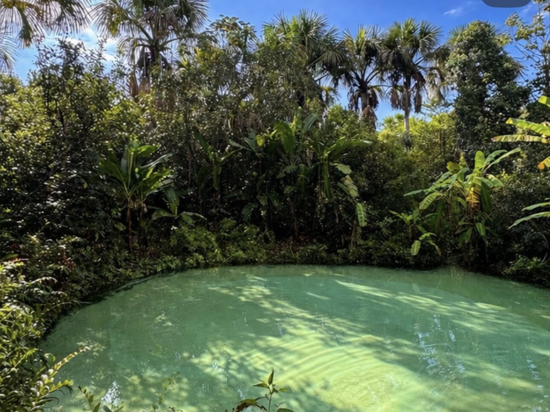 Jalapão Brasil Expedições-Palmas必去景点