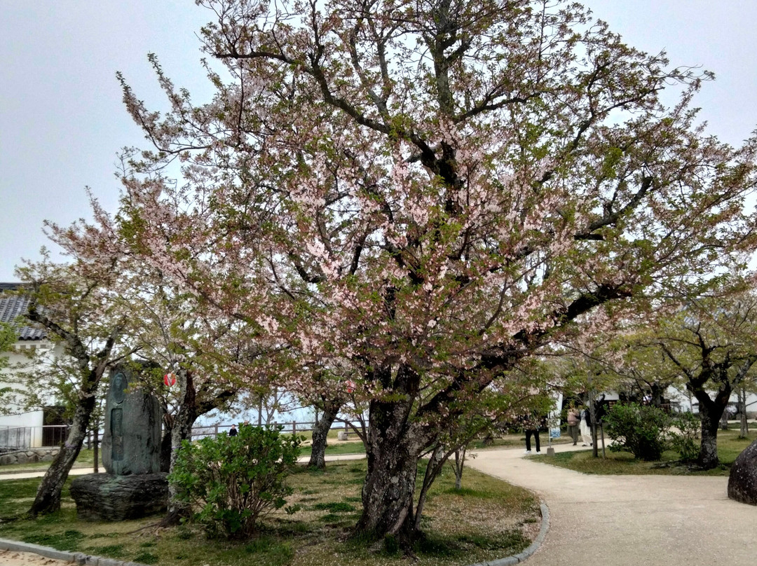 唐津城-唐津市必去景点