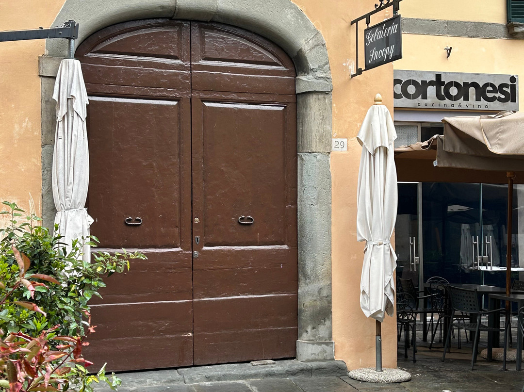 Hill Town Tours-科尔托纳必去景点