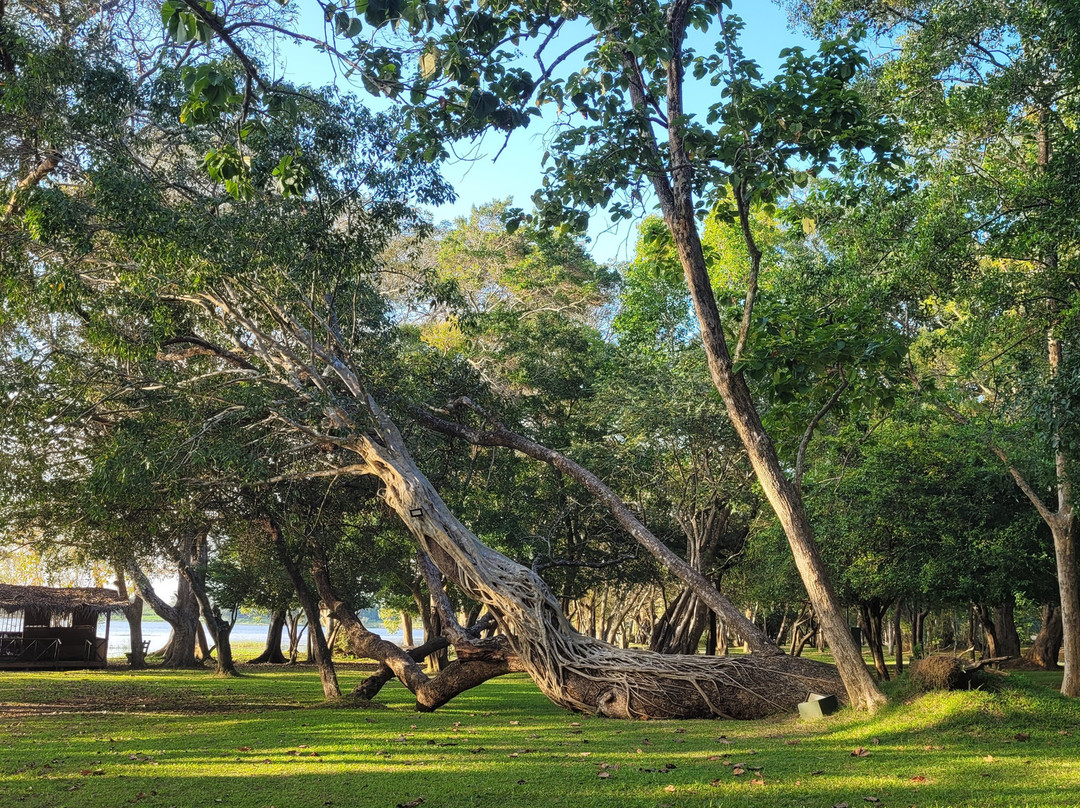辛纳蒙哈伯拉纳山林酒店主图