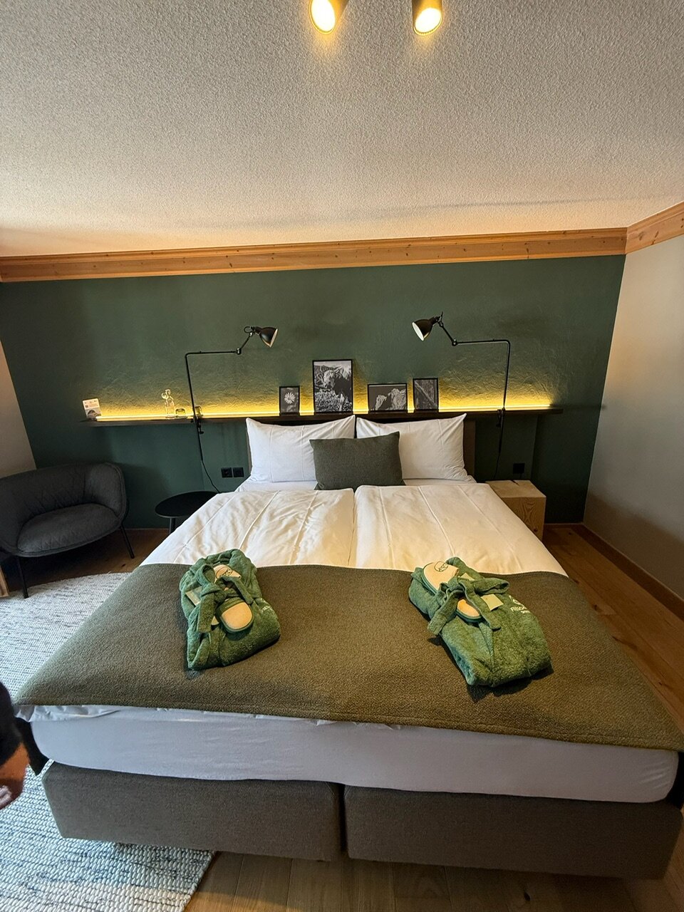 菲舍布利克酒店-客卧