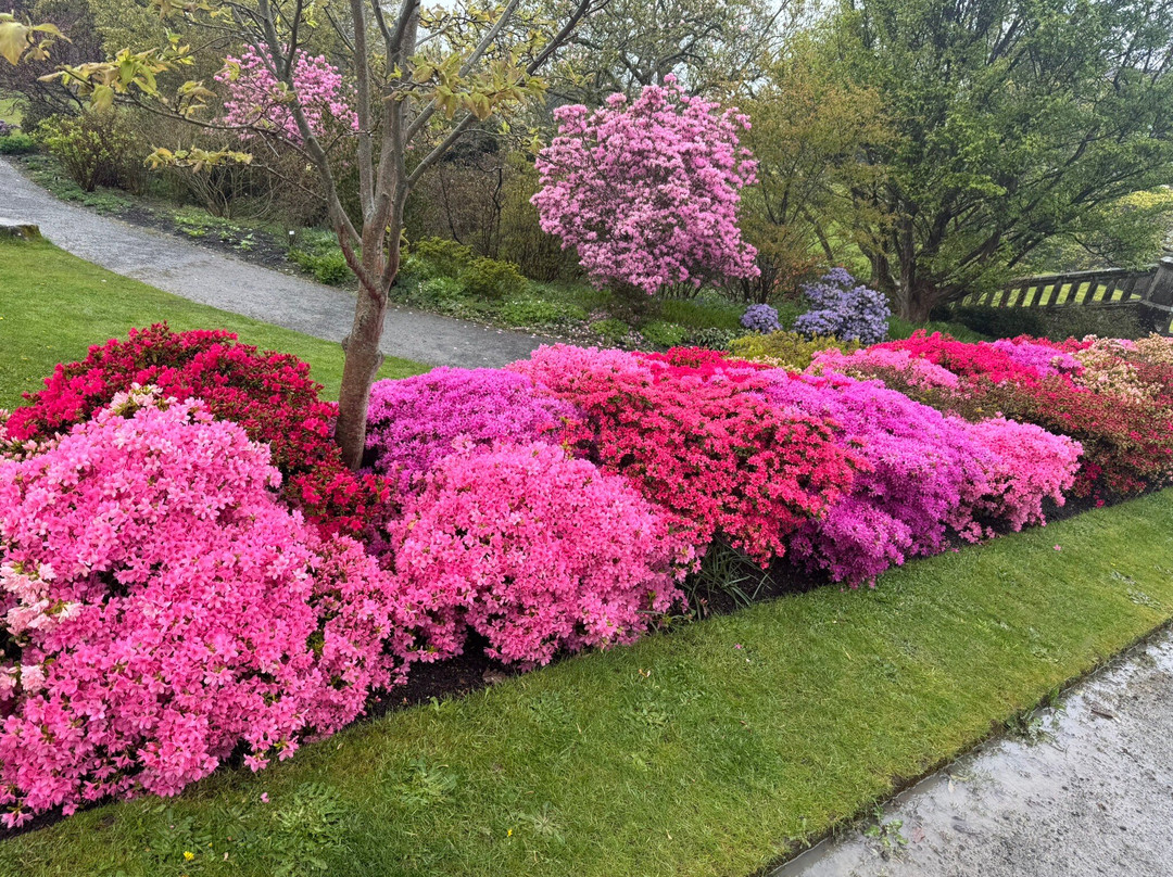 Bodnant Garden-Tal-y-Cafn必去景点