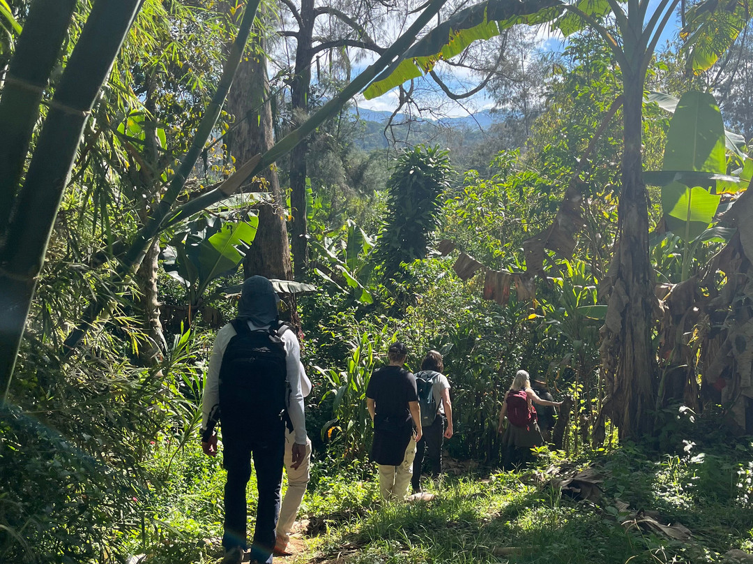 Visit Natives-Kautokeino必去景点