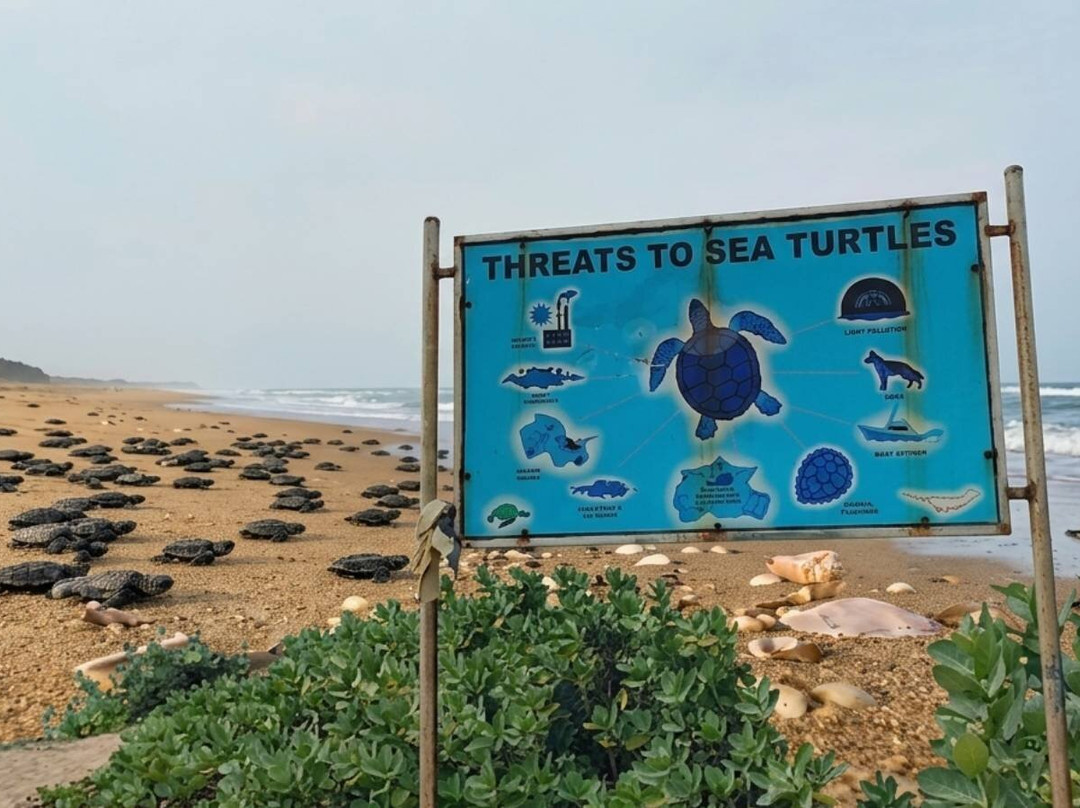 Swargadwar Sea Beach, Puri, Odisha-普里必去景点