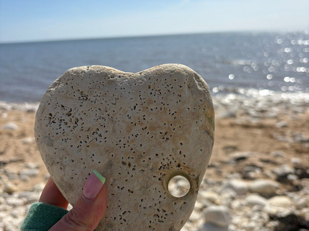 FLamborough Outer Headland-Flamborough必去景点