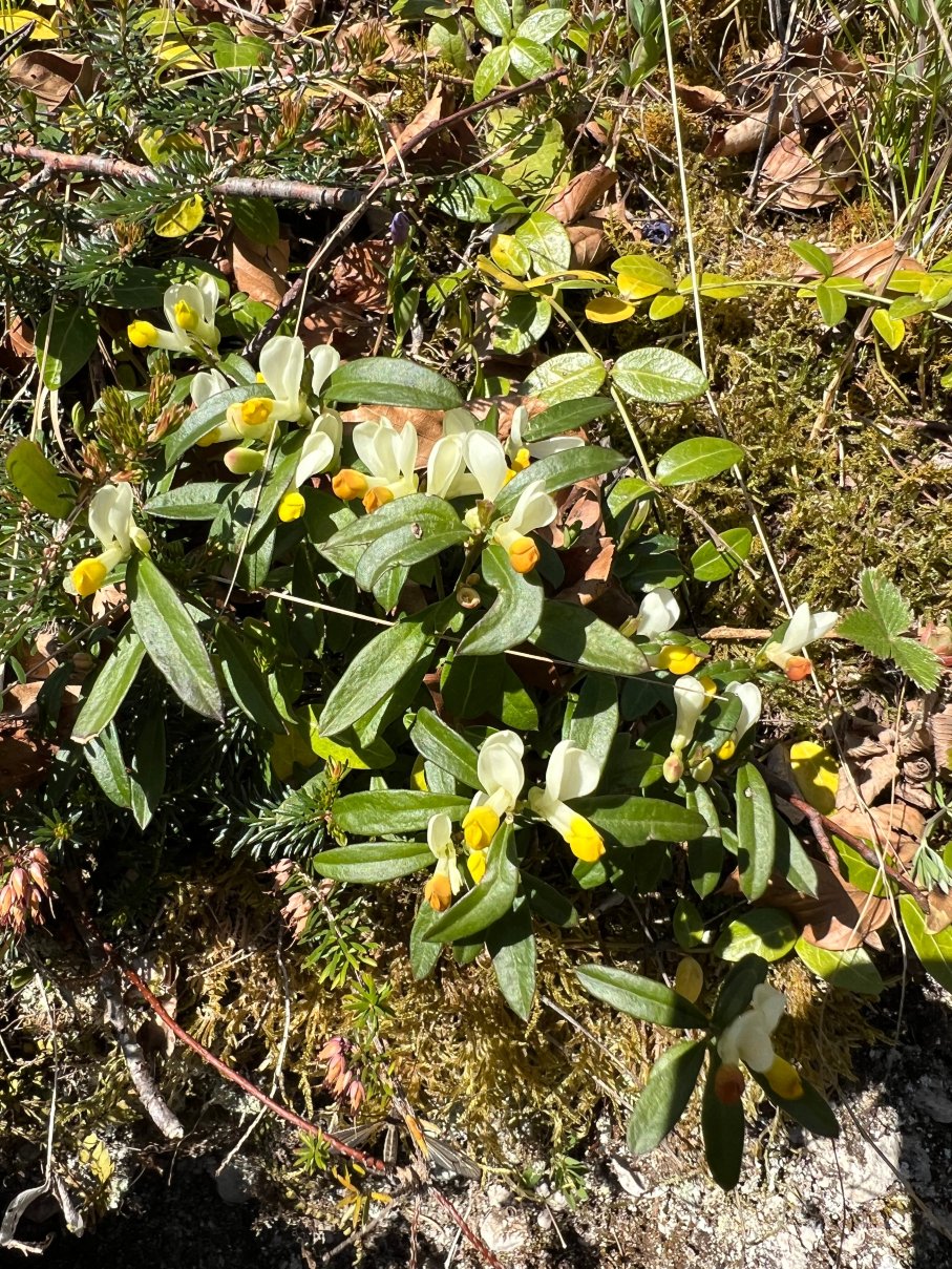 渤兴生态酒店-旅行者