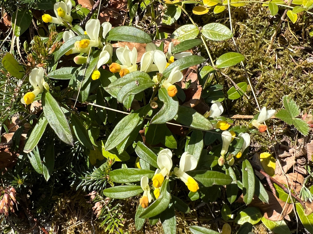 渤兴生态酒店主图