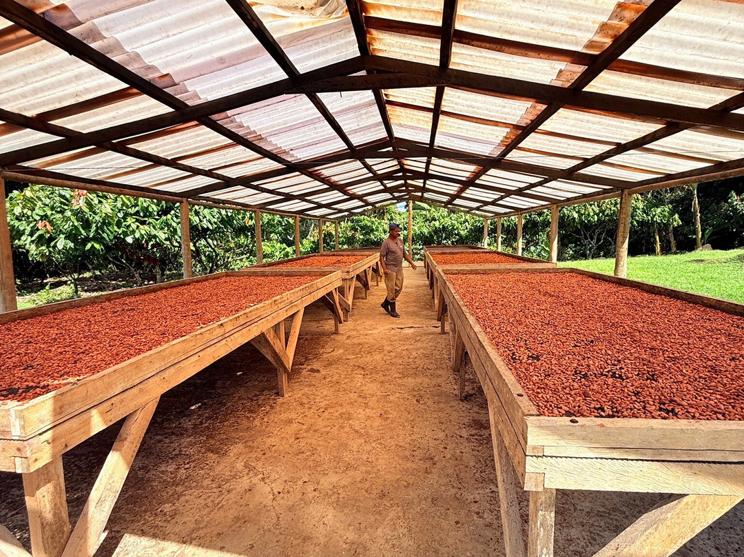 Fazenda Capela Velha-Urucuca必去景点