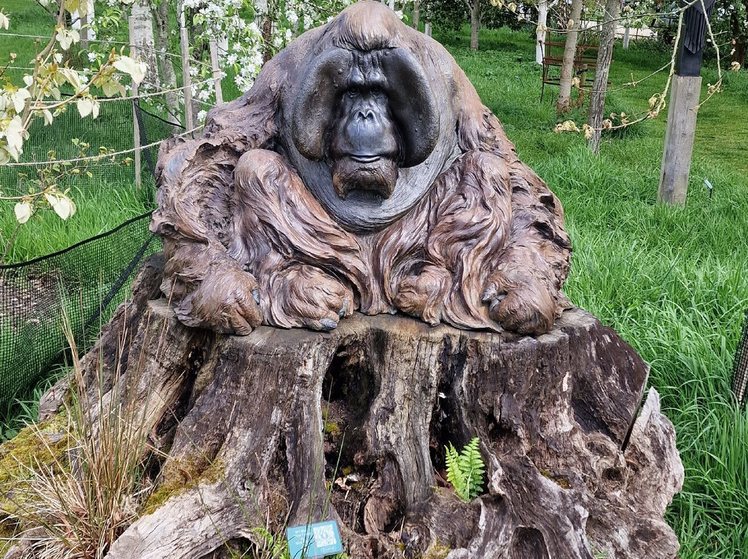 Sculpture By The Lakes-多切斯特必去景点