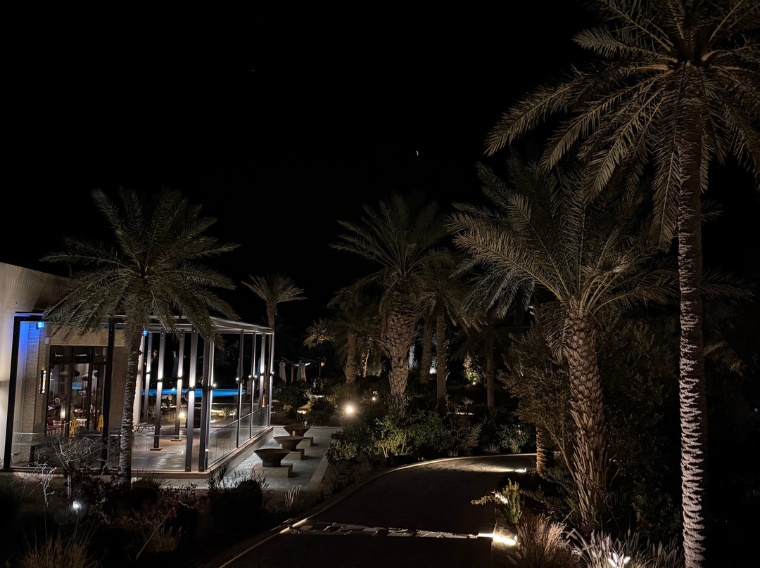 撒哈拉托泽尔·The Mora主图