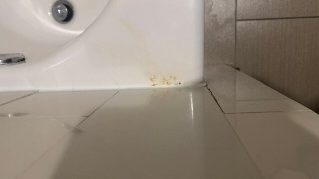 科珀斯克里斯蒂凯悦嘉轩酒店主图