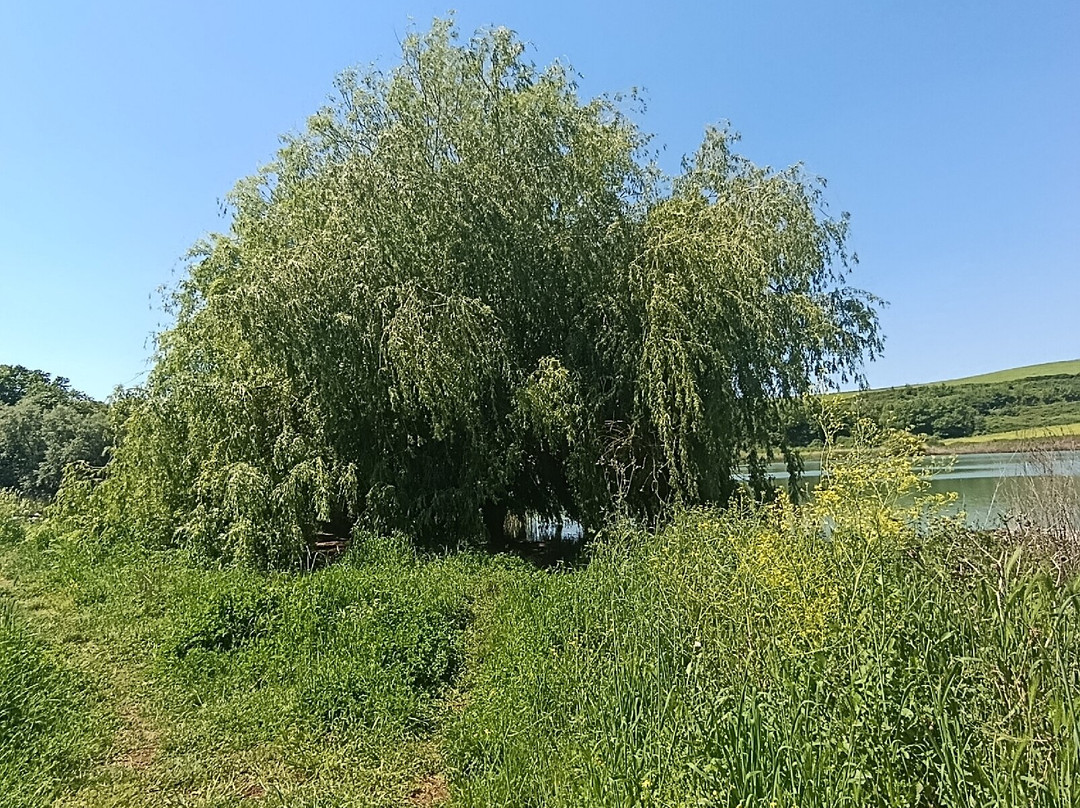 Lago di Giulianello-Artena必去景点