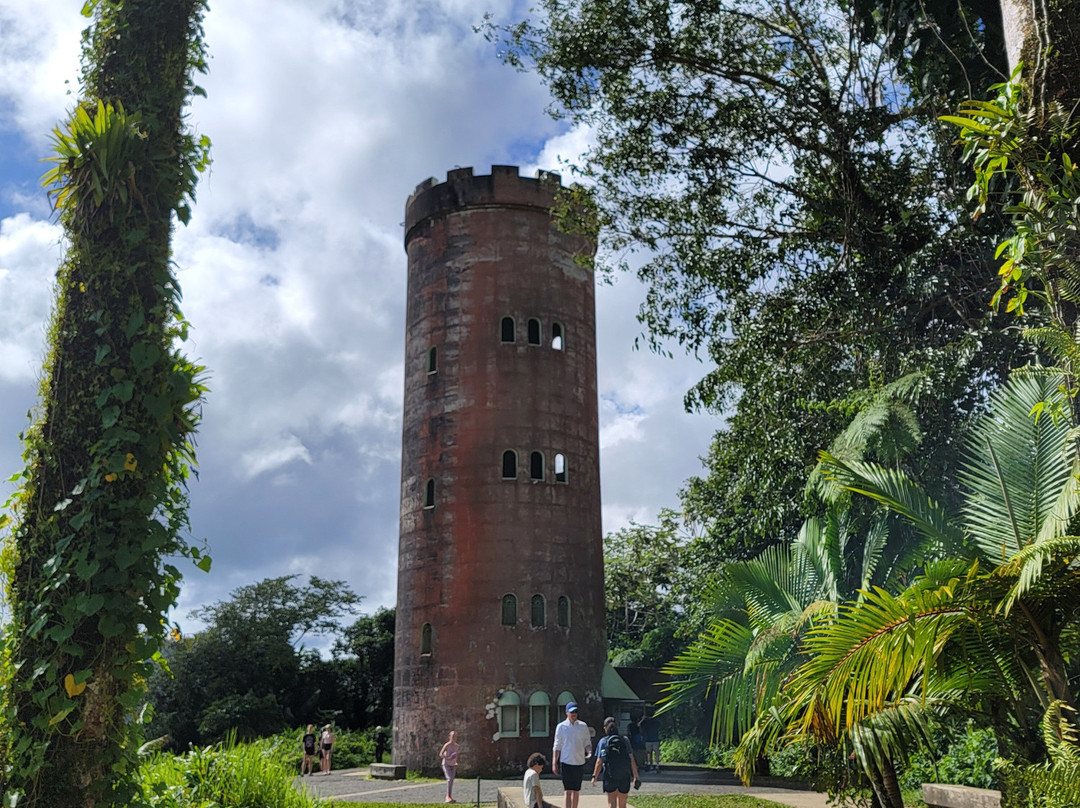El Yunque National Forest-云盖国家森林公园必去景点