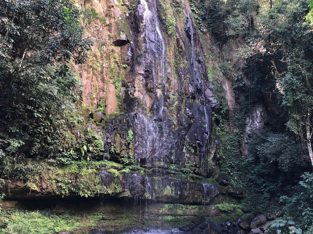Cachoeira da Mata-Sapopema必去景点