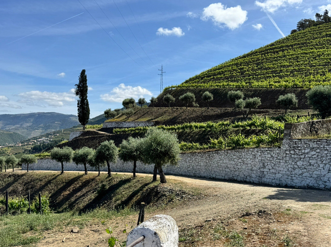 Quinta dos Frades