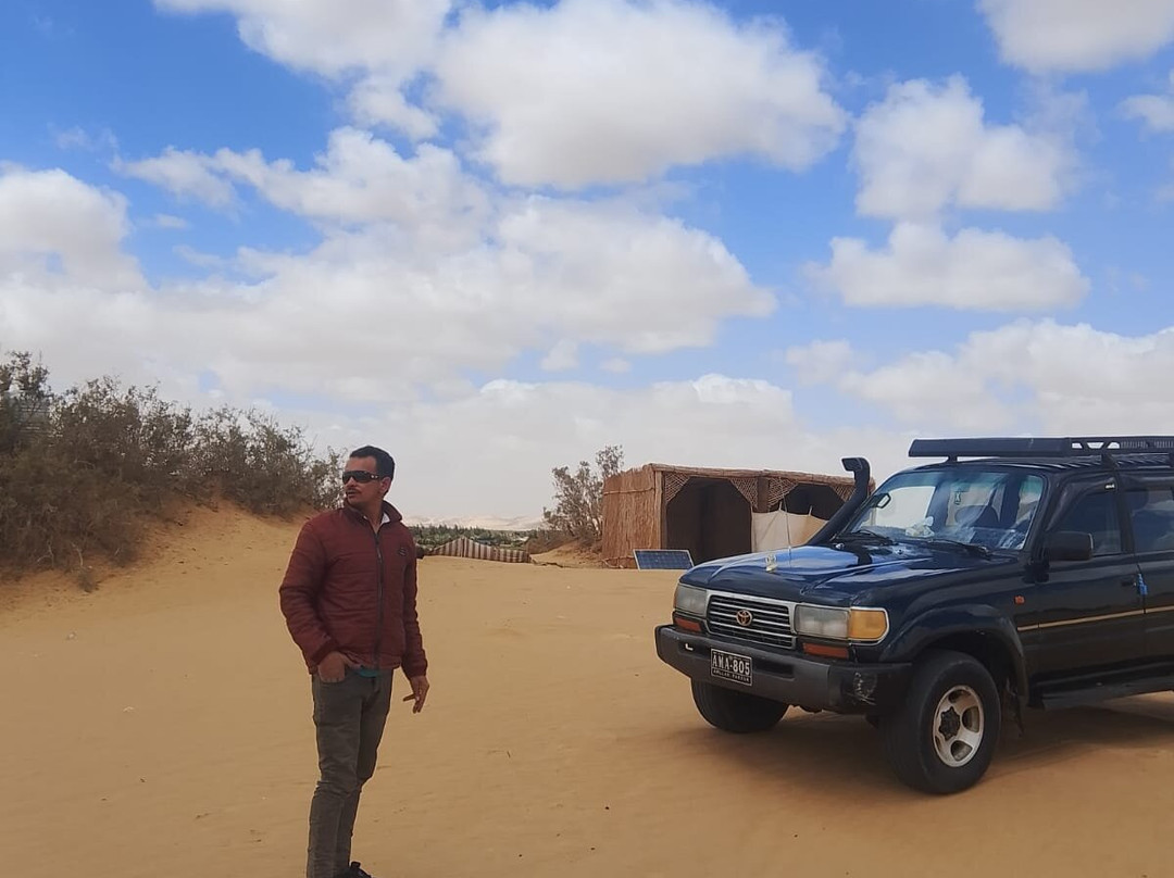 Bahariya Oasis Desert-Bahariya Oasis必去景点