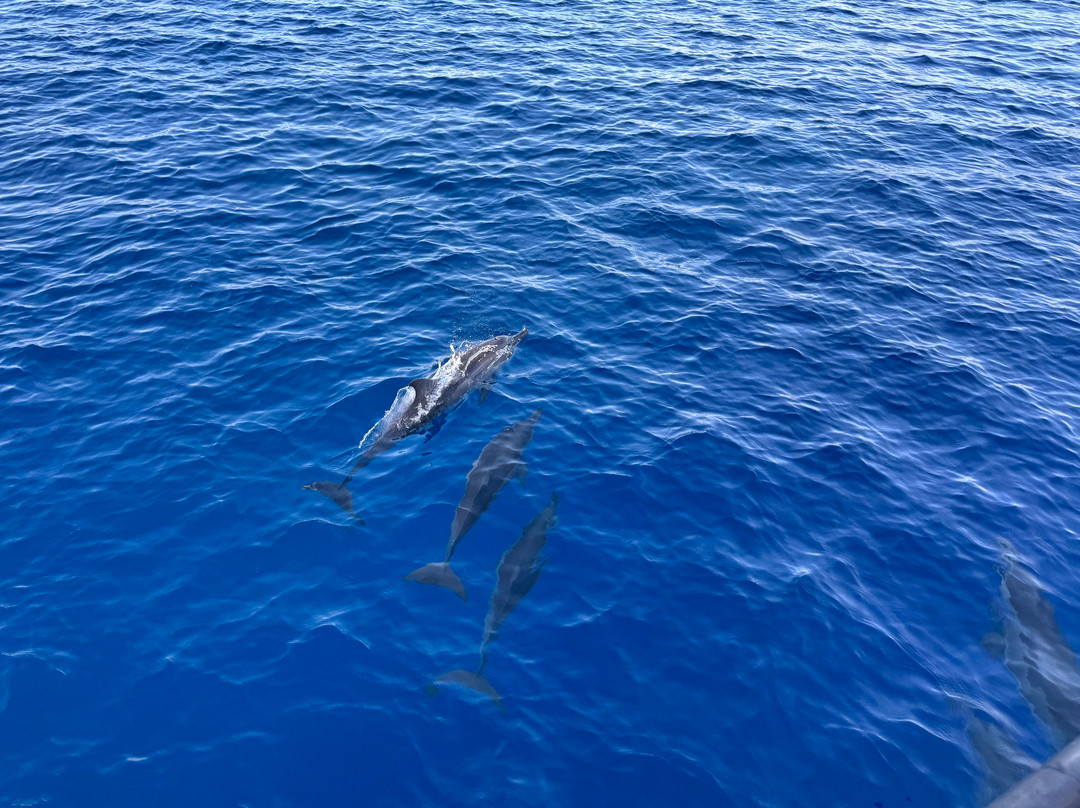 Sub Oceanic at Le Méridien Maldives Resort & Spa