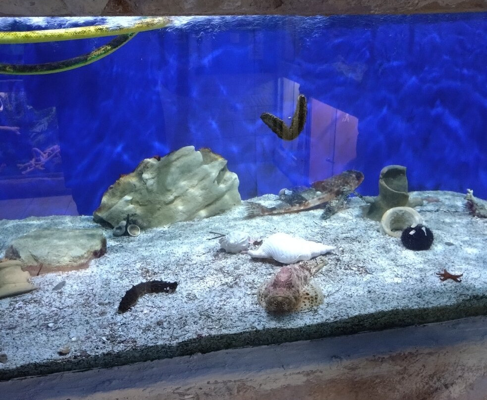 Aquaworld Aquarium & Reptile Rescue Centre-赫索尼索斯必去景点