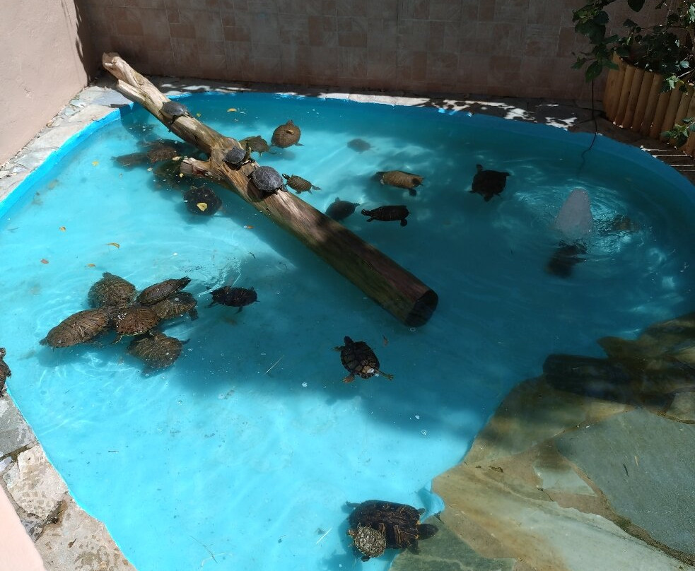 Aquaworld Aquarium & Reptile Rescue Centre-赫索尼索斯必去景点