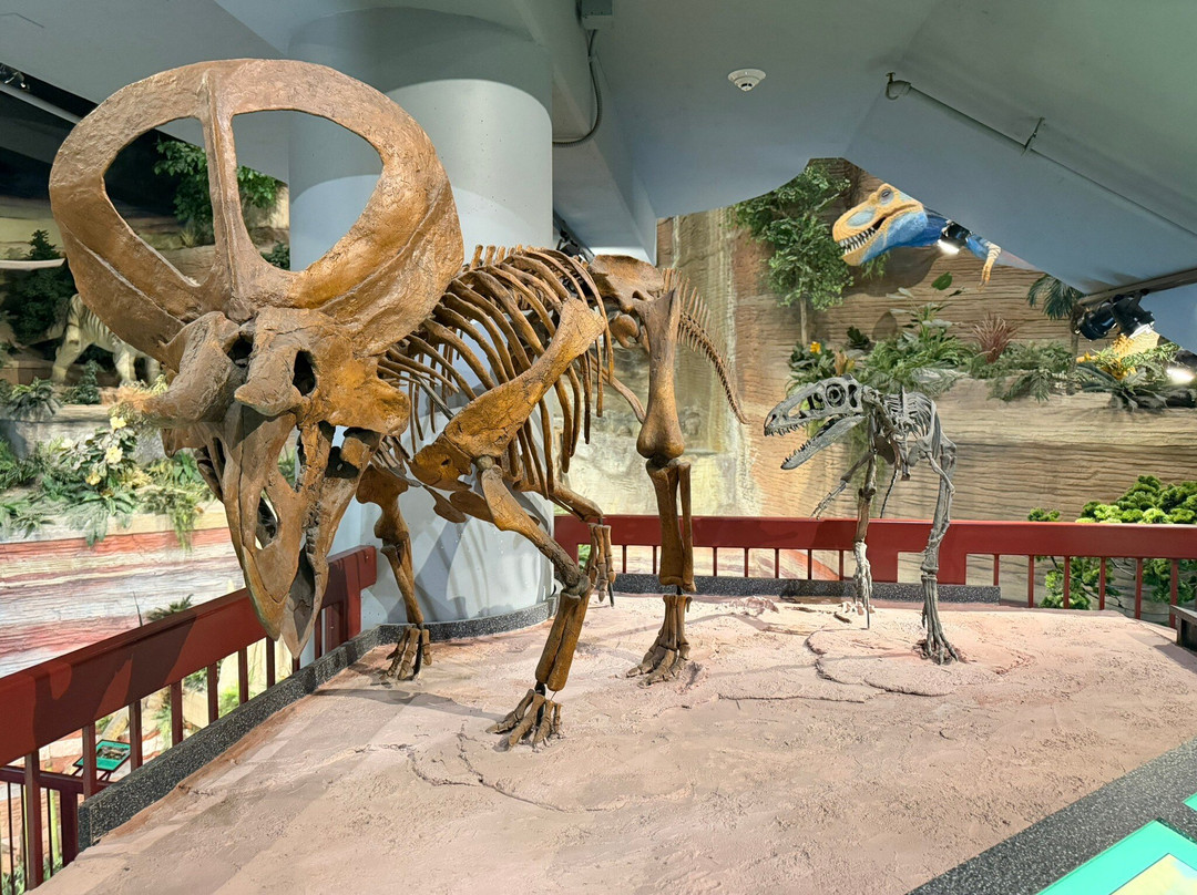 Arizona Museum Of Natural History-梅萨必去景点