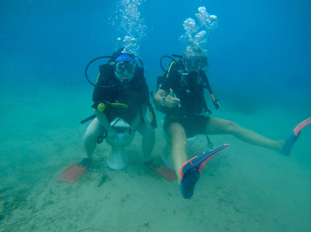 Octopus Diving Center-凯梅尔必去景点