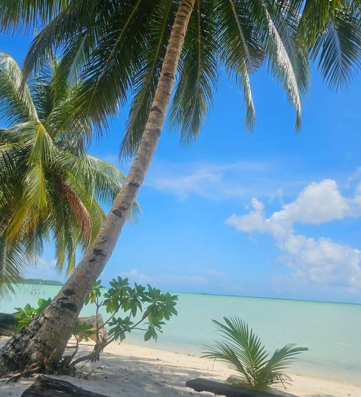 Pasir Panjang Beach-Maluku必去景点