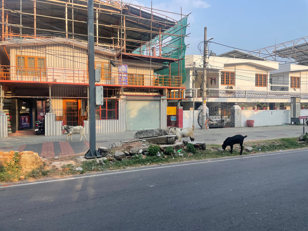 柯钦堡酒店主图