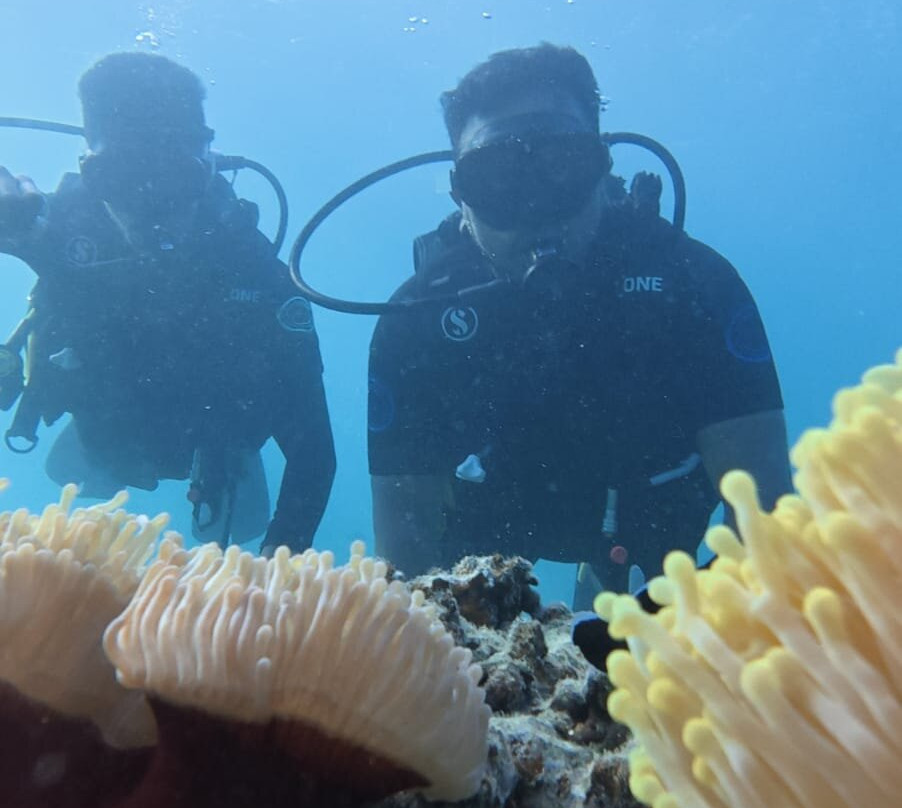 Scuba World Diving Mauritius-马喜埔必去景点