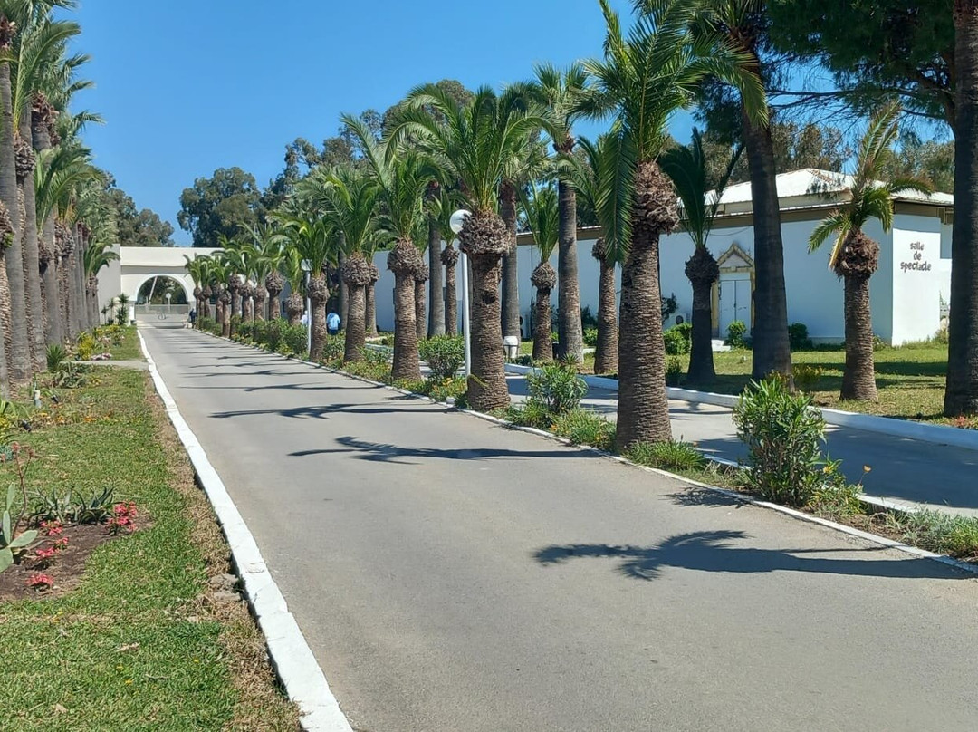 Hammamet Beach主图