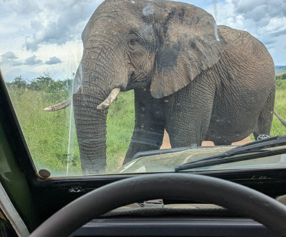 Akagera National Park-Eastern Province必去景点