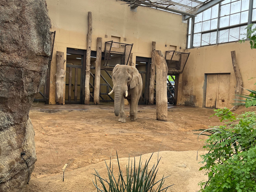 Zoologischer Garten Magdeburg-马格德堡必去景点