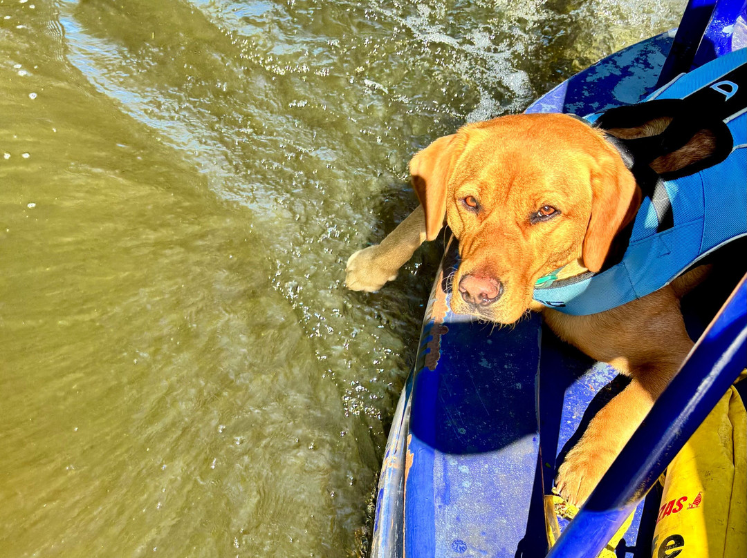 Reedley Boat Hire-伯恩利必去景点