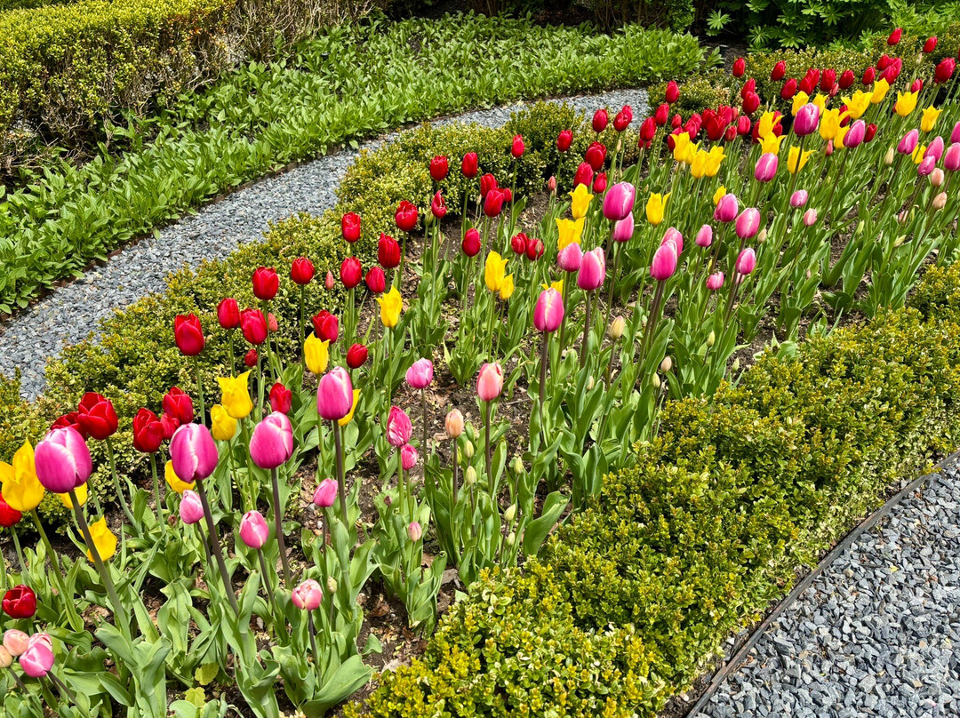 Green Animals Topiary Garden-Portsmouth必去景点