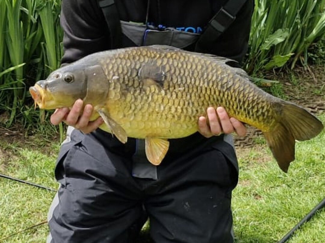 Holgan Farm Fishery-Narberth必去景点
