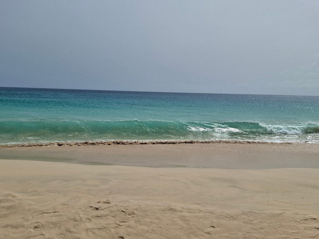 Pier Boa Vista Tours-博阿维斯塔必去景点