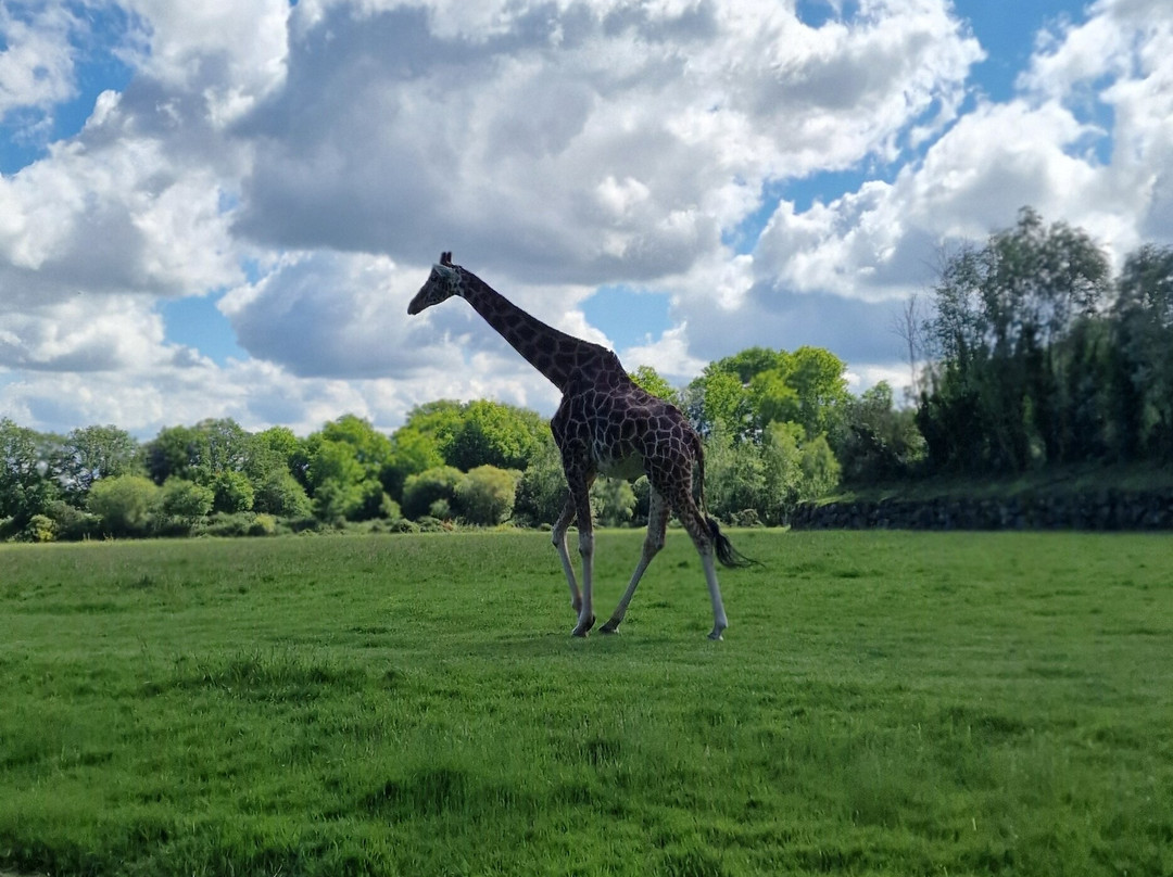 Parc Animalier et Botanique de Branféré-Le Guerno必去景点