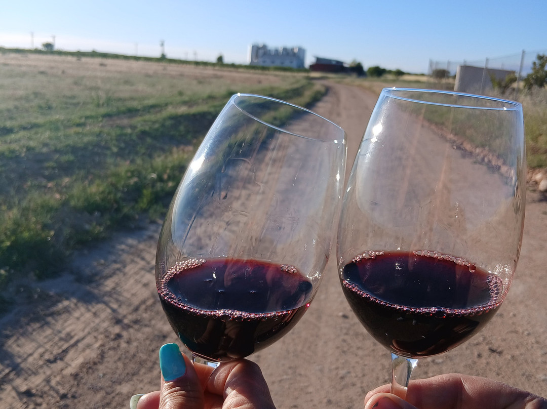 Bodega La Cepa de Pelayo-Alcala del Jucar必去景点