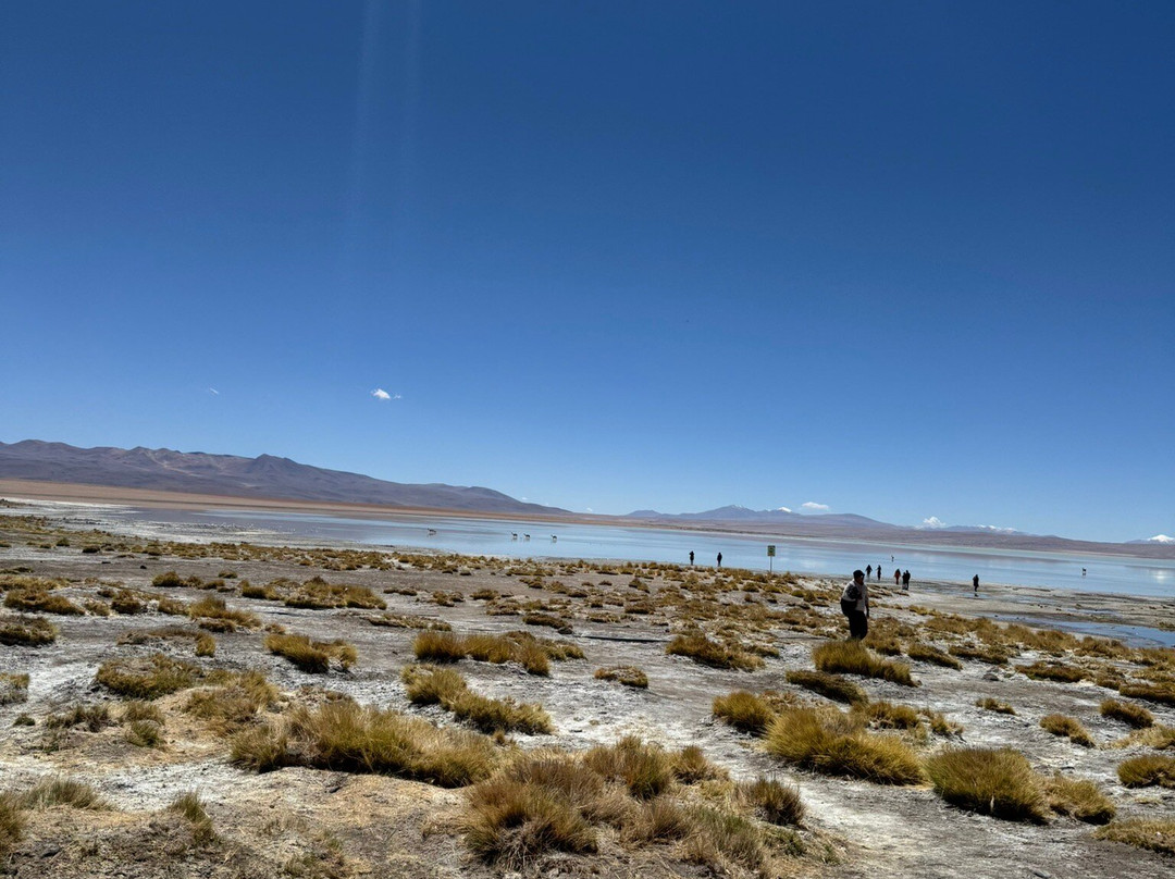 Aguas Termales De Polques-乌尤尼必去景点