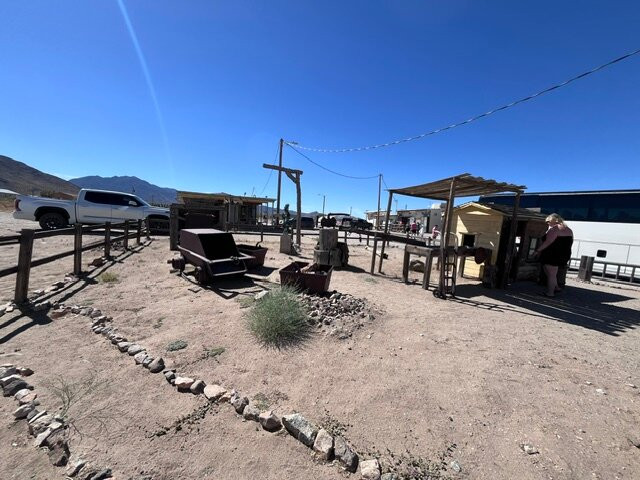 Arizona's Joshua Tree Forest