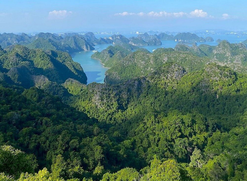 Cai Beo Fishing Village-Ha Long City必去景点