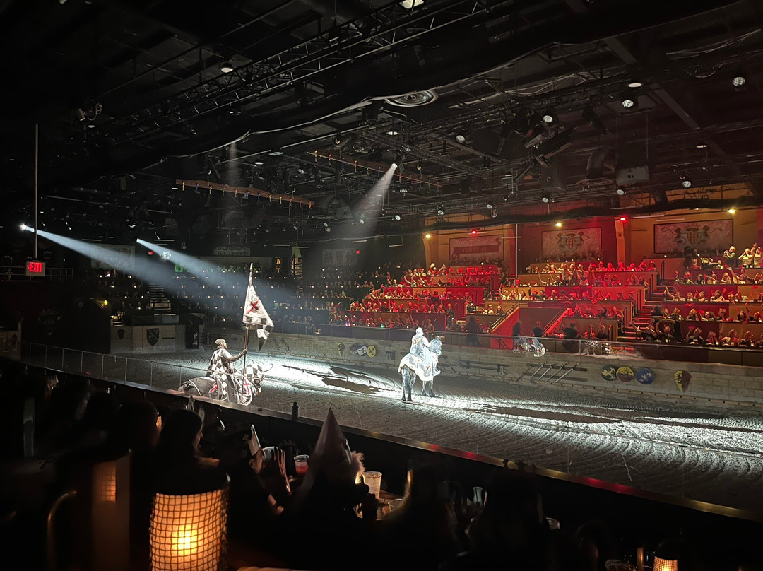 Medieval Times Dinner & Tournament-林德赫斯特必去景点