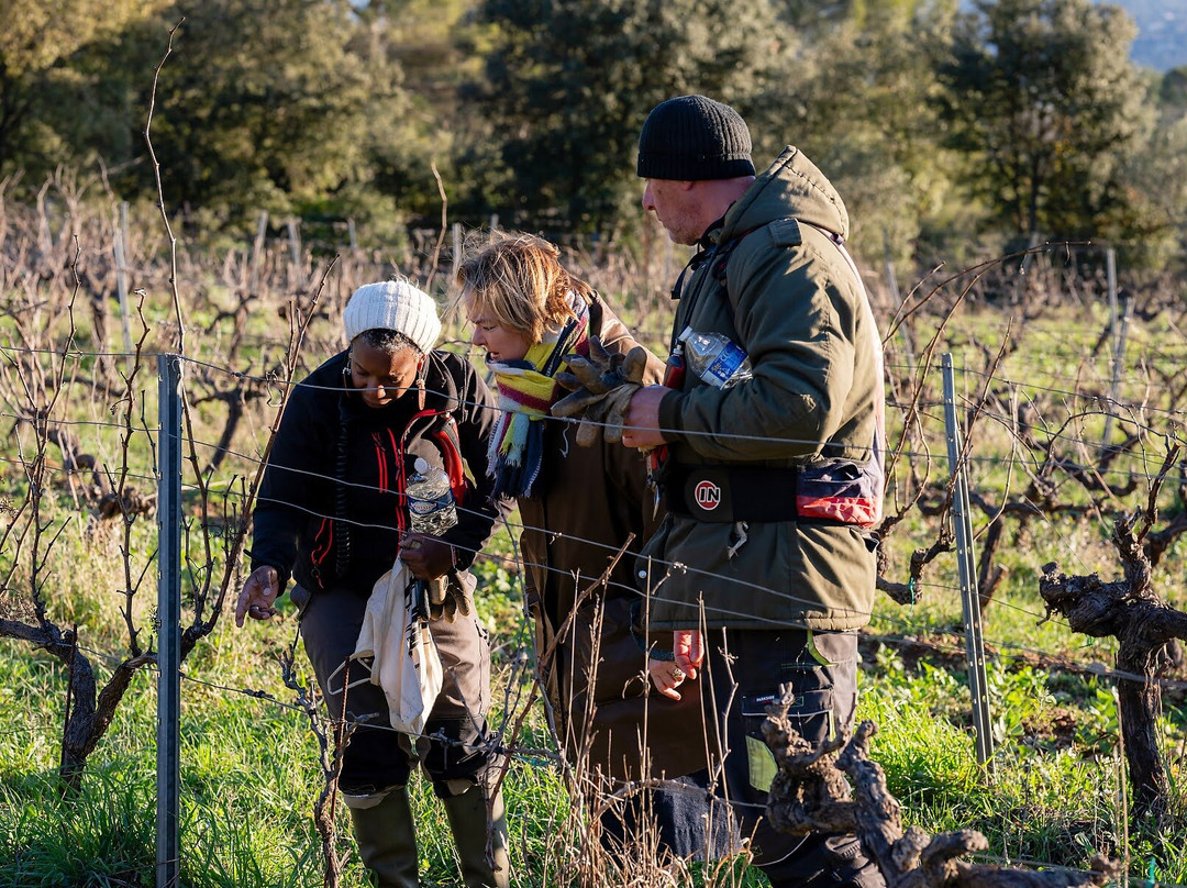 Domaine de Deffends-Saint-Maximin-la-Sainte-Baume必去景点