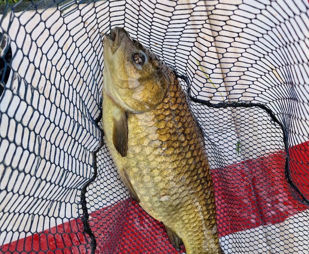 Furnace Mill Fishery-Bewdley必去景点