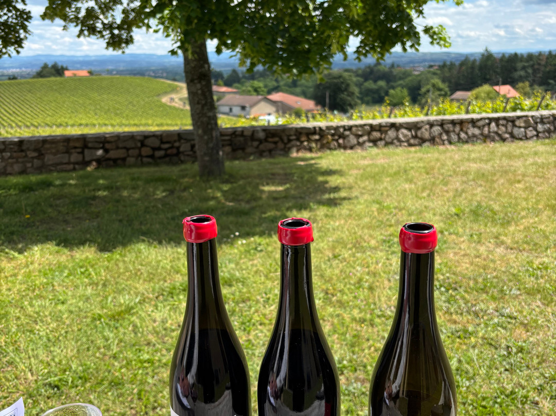Domaine Serol-Renaison必去景点