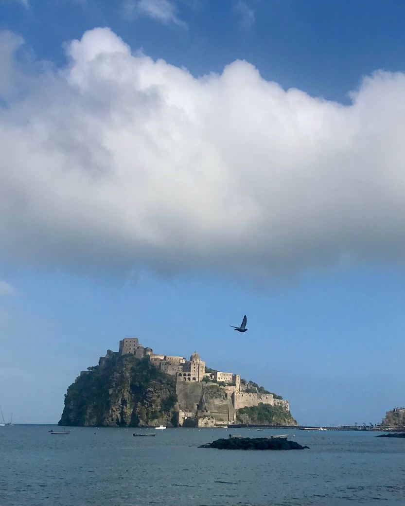 伊尔莫里思科大酒店-旅行者