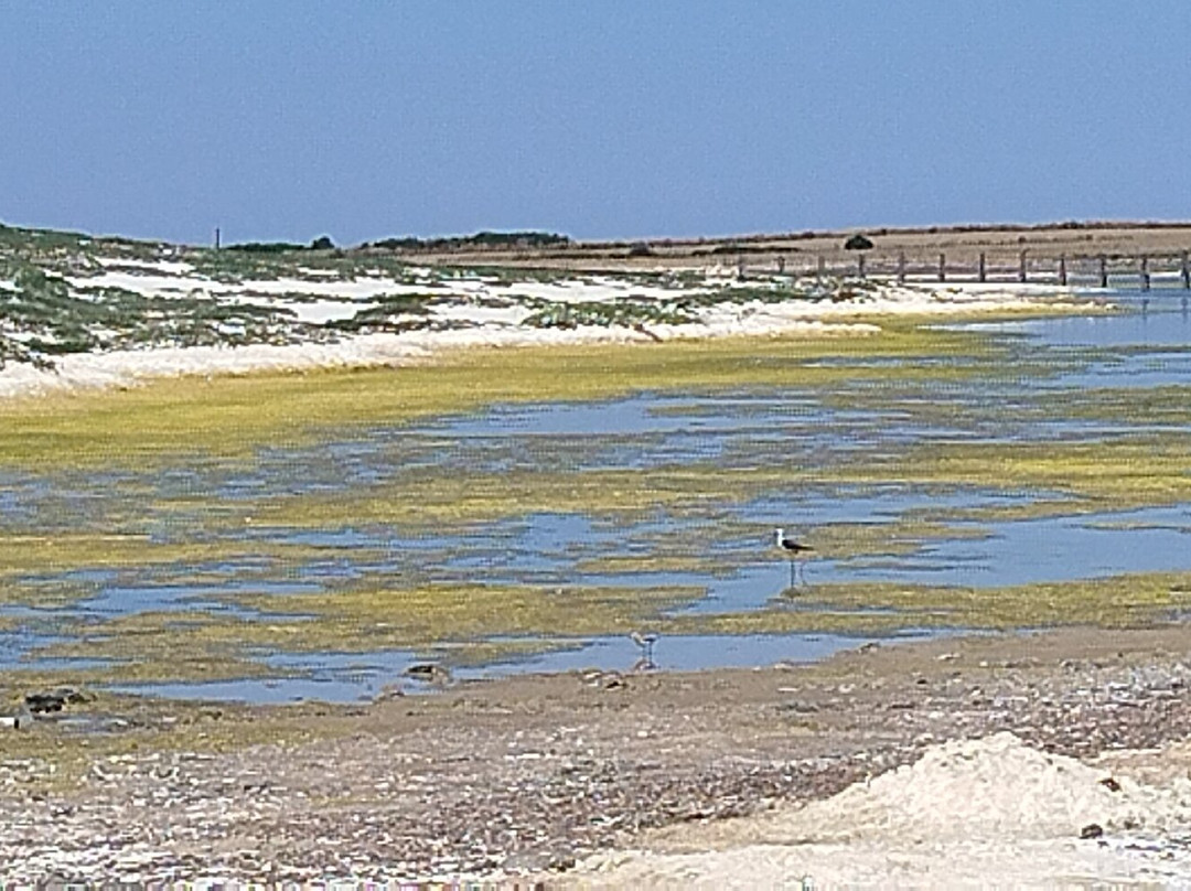 Spiaggia Mari Ermi-卡布拉斯必去景点