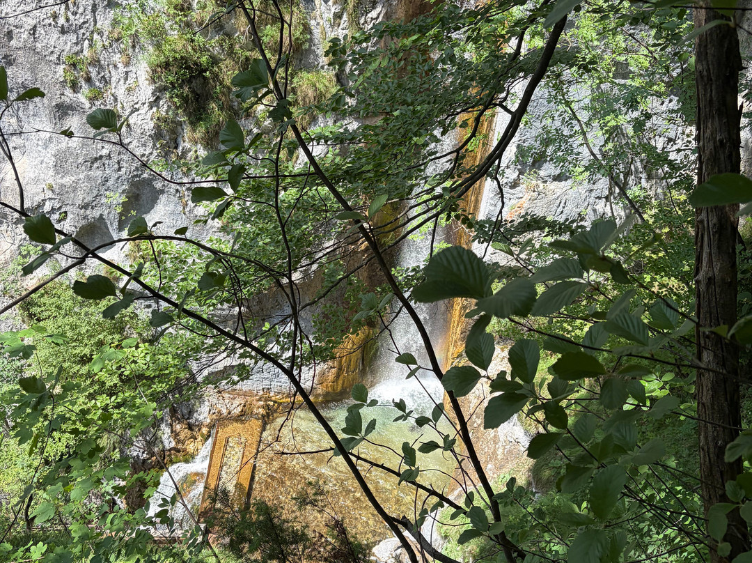 Outdoor Tribe-卢布尔雅那必去景点