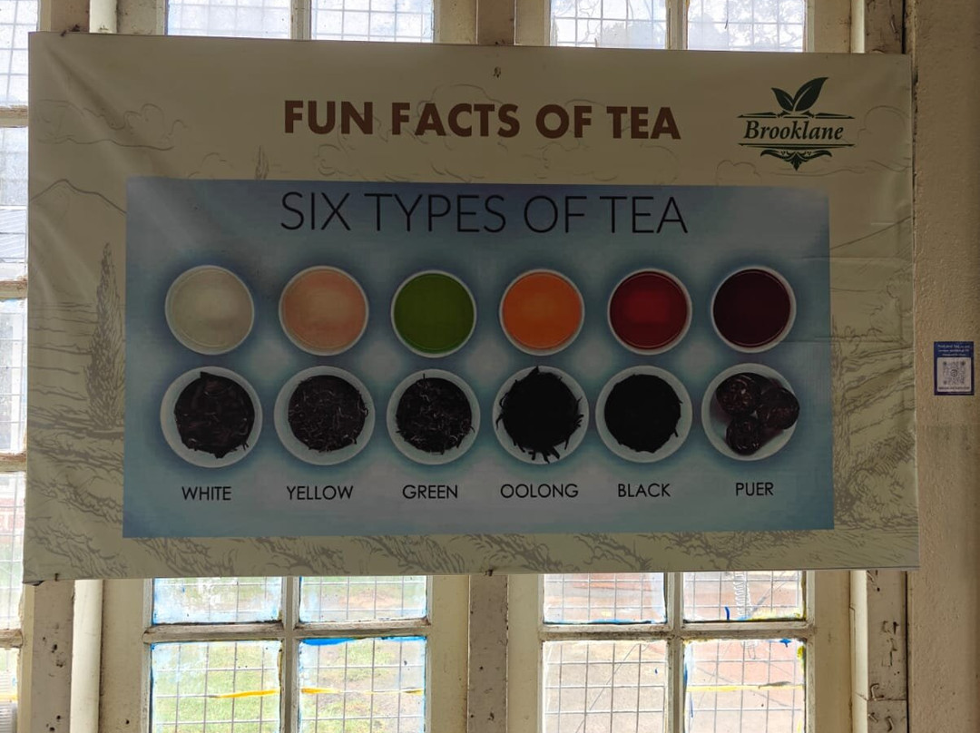 Brooklands Tea Factory & Factory Outlet-库奴尔必去景点