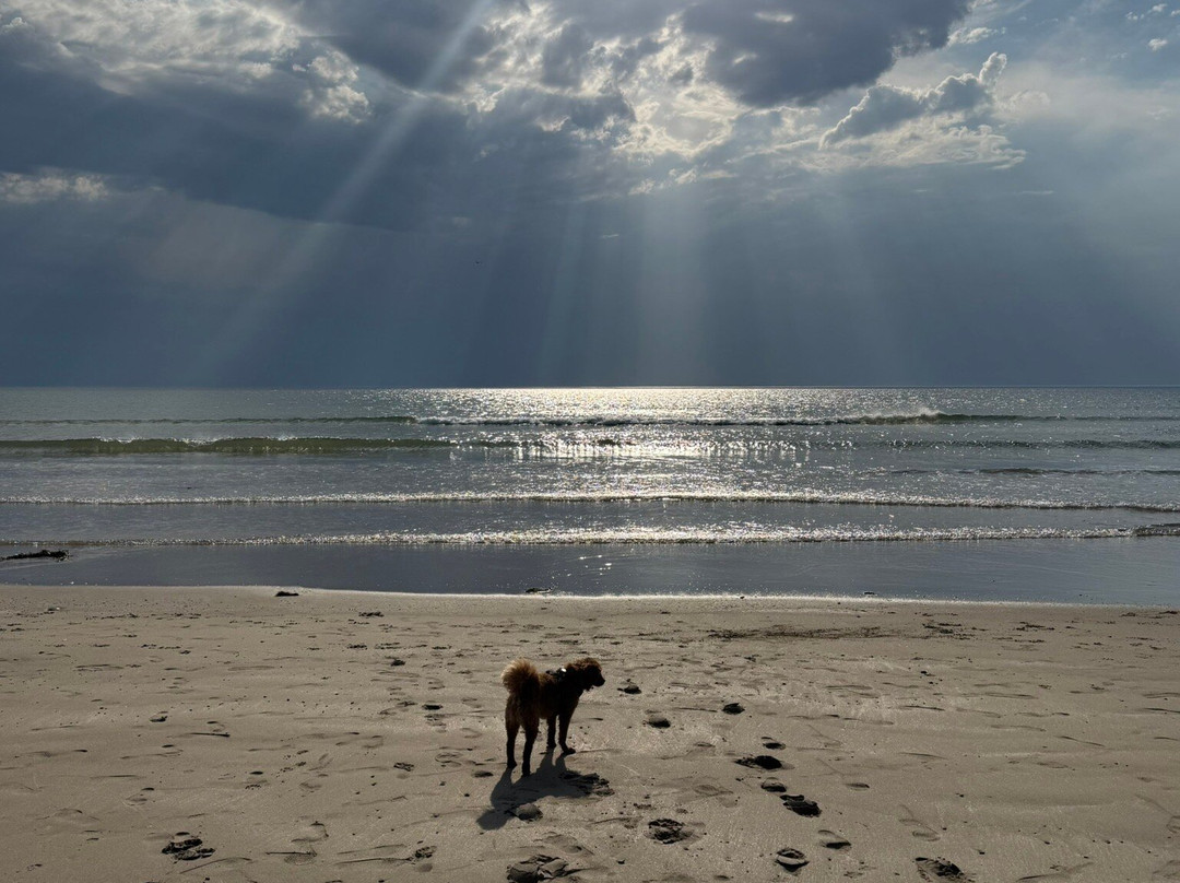 Fairbourne Beach-Fairbourne必去景点